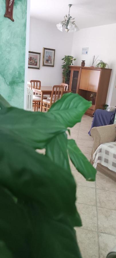 Dimora Nonna Angela Appartement Alberobello Buitenkant foto